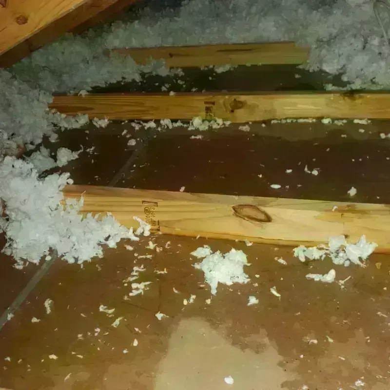 Attic Water Damage in Mira Monte, CA